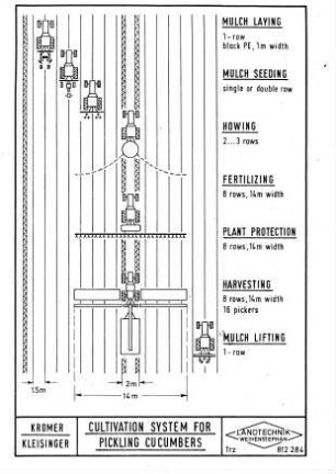 Cultivation System for Pickling Cucumbers