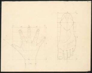 Menschliche Proportionen: Studie Hand und Fuß