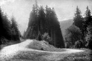 Alte Schmalzgrubner Straße und Lochweg (li.)
