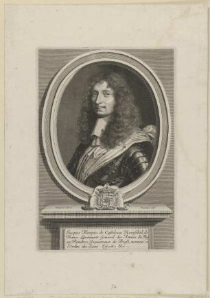 Bildnis des Jacques de Castelnau