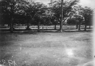 Allee : Blick auf eine Allee