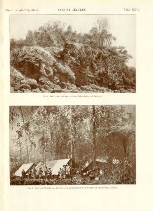 Tafel XXIV.Südost-Celebes. Fig. 1. Dürre Strand-Vegetation am Telulupi-Kap auf Kabaena. Fig. 2. Im tiefen Urwald von Rumbia, dem unbekannten Südost-Zipfel des Festlandes Celebes