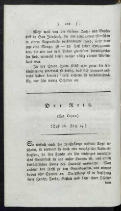 Taf. IX. Fig. 41. Der Reiß Fig. 42. Die Tulpe Fig. 43. Die Narcisse Fig. 44. Die Kornblume