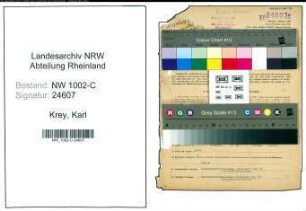 Entnazifizierung Karl Krey, geb. 22.03.1902 (Grosshaendler)