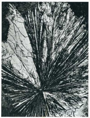 Vitamin B, ca. 150-fach vergrößert, Mikrofotografie