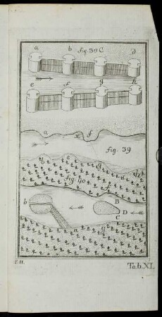 Tab. XI. fig 30, fig. 39 & fig. 40
