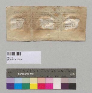 Bischofs Albert [II.] von Passau gewährt dem Abt und Konvent des Klosters Metten wie sein Vorgänger Bischof Bernhard Mautfreiheit für alle auf der Donau von oder nach Österreich durch Passau geführten Lebensmittel.;. S: Bischof Albert [II.] von Passau