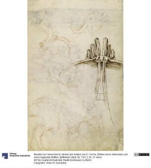 Henkel des Kraters von S. Cecilia, Skizzen eines stehenden und eines liegenden Büffels, Büffelkopf