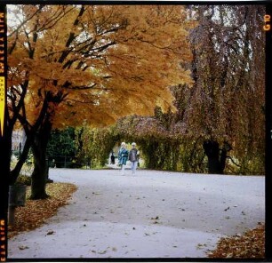 Baden-Baden: herbstlicher Park, Lichtentalerstraße