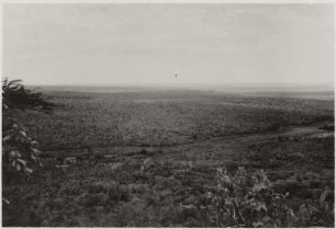Ausblick vom Tafelberg in Richtung Süden : 24,86 km westlich von Nioaque, Höhe: ca. 460 m