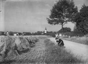 Wermsdorf : Wermsdorf. Junge Frau am Ortsrand Blumen pflückend