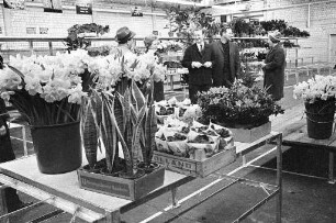 Blumenmarkt im Großmarkt am Weinweg.