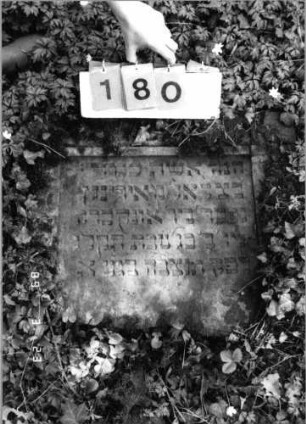 Grabstein 180 (Index: 99792306) Material: Sandstein Zustand: gut, Stele liegend Maße HxBxT: 56x72x8 cm Beschreibung: Stele, rechteckiges Schriftfeld eingetieft: Grabstein 180