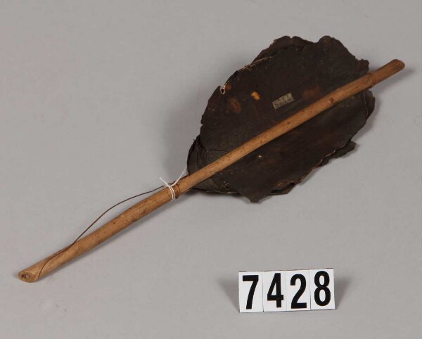 Tortoiseshell