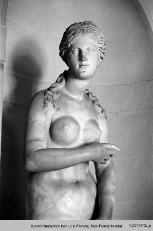 Venus (Kopf antik) : Kopf der Venus (Statue 16.-17.Jhd.)