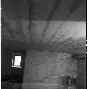 Negativ: Ruine, Grazer Damm 227, 1954