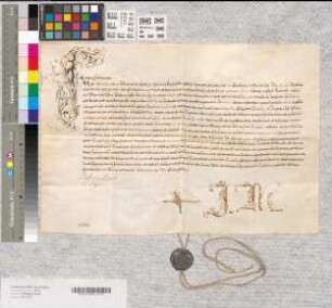Forma iuramenti des Abts Arnold von Valdois (Waldois) zu Corvey.