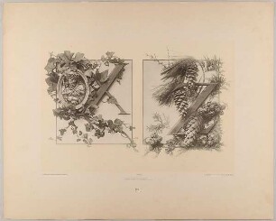 XXII. Initiale X Z mit Epheu mit Medaillon - Nadelholz und Cypresse