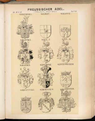 Taf. 65. Galemski. - Galhau. - Galiffe. - Galinski. - Gall. I. - Gall. II. - Gallera. - Gansauge. - Gantesweiler. - Garczynski. - Garmissen. - Gärtner.
