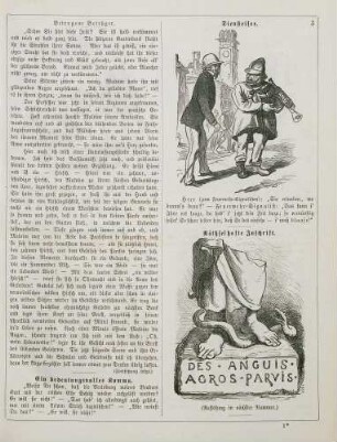 "Diensteifer" "Räthselhafte Inschrift"