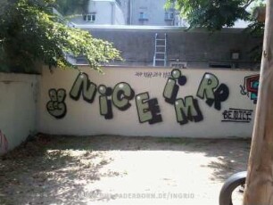 NiCE iMR