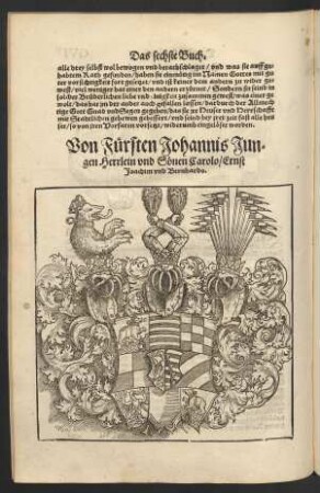 Von Fürsten Johannis Jungen Herrlein und Sönen Carolo/ Ernst Joachim/ und Bernhardo. Das XIX. Capitel.