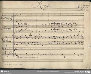 Per costume o mio bel nume - Mus.1-F-49,12-12 : S, orch, b - G