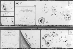 Sonnenflecken, 1907, gezeichnet von Dr. Archenhold : Technikgeschichte | Astronomie | Sonne