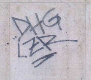 ...DHG LZR