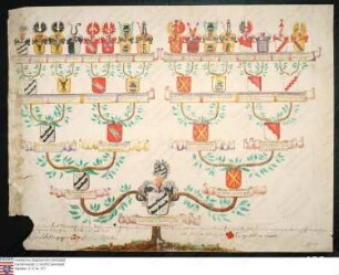Ahnenprobe des Carl Friedrich v. Schlitz gen. Görtz. - ausgefertigt 1736 August 29, Pergament