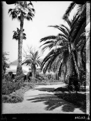 Sevilla: Garten des Alcazar