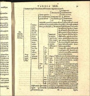 Tabula XXVII.