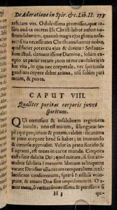 173-177, Caput VIII
