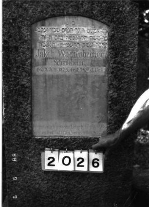 Grabstein 2026 (Index: 100096874) Maße HxBxT: 139x71x29 cm Besonderheit: kulturhistorisch wertvoll / hist.-wiss. Gründe (Kriegsteilnehmer): Grabstein 2026 (Detailaufnahme)