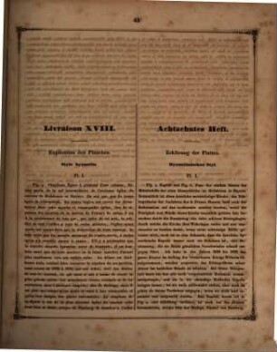 Les ornements du moyen age : eine Sammlung auserwählter Verzierungen und Profile byzantinischer und deutscher Architektur, 18