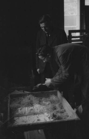 Central Collecting Point Marburg. Mitarbeiter beim Auspacken der Kunstwerke im Lesesaal des Staatsarchivs