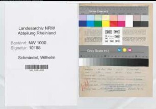 Entnazifizierung Wilhelm Schmiedel, geb. 30.07.1907 (Techn.Zeichner)