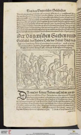 Der Vngerischen Sachen vnnd Geschichte[n], des Andern Teils das Achtist Buch