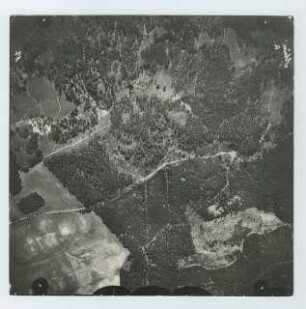 Luftaufnahme vom Griepensee, Buckow (Märkische Schweiz): Ansicht, Waldstück nördlich des Ortes