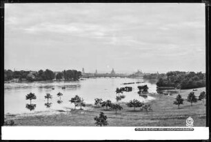 Dresden bei Hochwasser