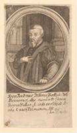 Andreas (d.Ä.) Murrer, Bäcker und des Kleinern Rats; gest. 15. März 1564