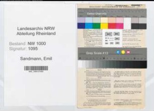 Entnazifizierung Emil Sandmann, geb. 11.02.1895 (Bankangestellter)