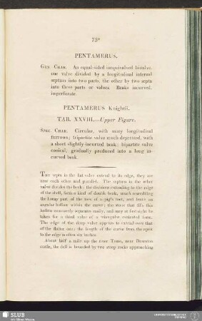 Pentamerus Knightii. Tab. XXVIII. - Upper Figure