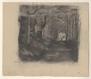 [Landschaft]