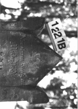 Grabstein 1221 (Index: 99899999) Material: Sandstein Zustand: stark verwittert Maße HxBxT: 107x60x8 cm Beschreibung: Stele mit eingezogenem Dreiecksabschluss, auf den Einzügen Eckakroterien, im Dreiecksfeld Ranken Symbolik: Ranken: Grabstein 1221B