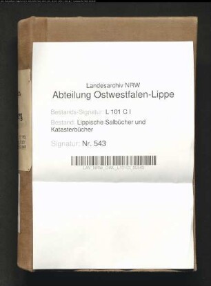 Salbuch des Amtes Blomberg von 1849, Bd. 2 (Duplikat)
