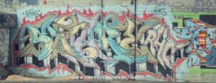 SKARE RHC