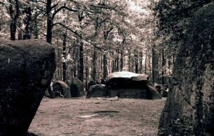Klecker Wald: Hünengrab, näher, Vordergrund große Steine