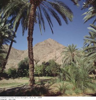 Mittlerer Sinai