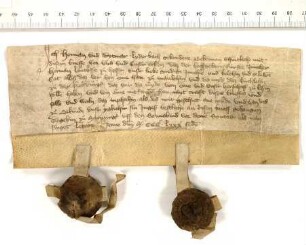Alles, was die 1382 Belehnten zu Mannlehen haben, und dazu das Kirchlehen zu Holzburg [Ortsteil der Gem. Schrecksbach, Schwalm-Eder-Kr.].